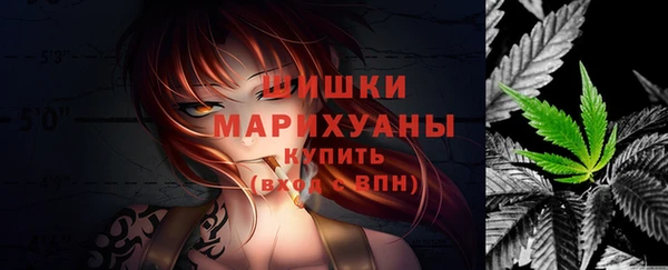 крисы Медногорск