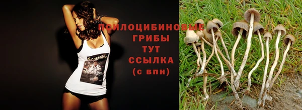крисы Медногорск