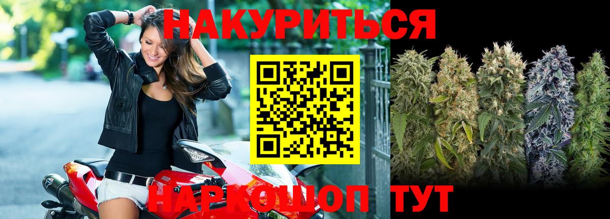 Каннабис семена  Лесозаводск  Бошки Шишки THC 21% 